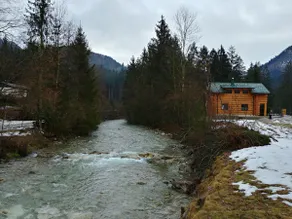 Zwergenhäusl - Vacation in the natural log cabin - Image 3