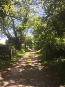 Devon Country Retreat The Linhay at Collaton Farm - Image 5