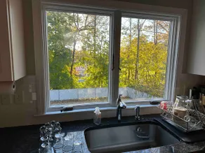Single Family Boston House Great Privacy - Image 4
