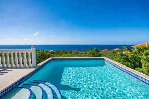Coral Estate Luxury Resort - Image 5