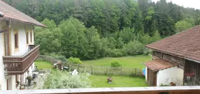 The travel mill. In the middle of nature. - Image 5