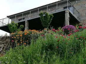 ”Casa Velha” Douro Valley - Image 3