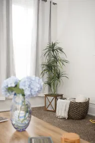 Cozy & Private Apartment in the Heart of Cynthiana - Image 5