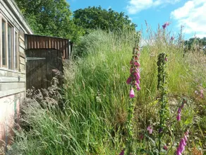 Foxes Den, Secluded, off-grid cabin. Amazing views - Image 2