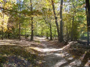Moonshine Cottage, sleeps 5 - Image 3
