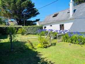 The Agapanthus of the Dérobée - Image 2