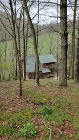 Cozy Log Cabin with amazing view - 3 BR, 3 Bath - Image 3