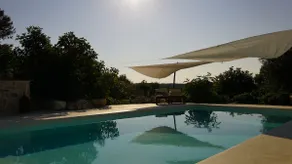 Trullo in the Pinewood, private pool, Puglia - Image 3