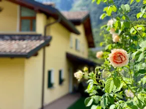 La Rosa Home - Image 3