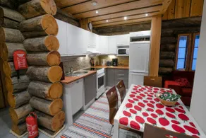 Stylish and cozy log cabin Villa Aurora - Image 4