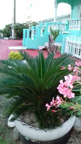 Casa Philipe - Image 4