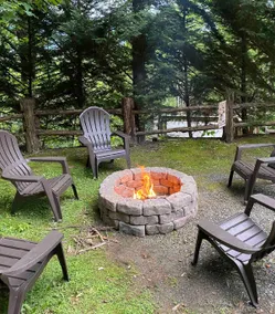 Mountain Memories Cabin/Great Smoky Mountains - Image 4