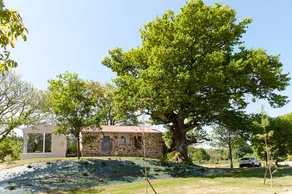 Casa das Landras - Image 2
