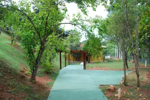 Flores do Patacão - Cozy hideaway in the countryside - Image 2