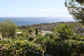 Les Cigales - Image 2