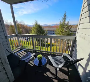 The Davis Ridge - Mt Views, Fireplace, Balcony - Image 4
