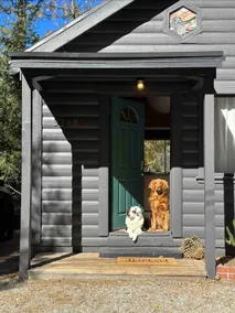 The Steller Jay cabin - Image 2
