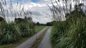 Malcomb Farm - Image 2