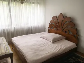 Sunny 2-room apartment with terrace and garden - Image 3