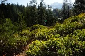 Mountain View Sanctuary - Image 3