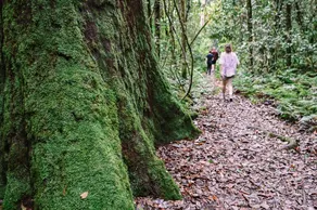 The Cabin Barrington Tops Your Eco Place in Nature - Image 2