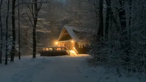 Family (& Remote Work) Friendly Cabin in the Woods - Image 2