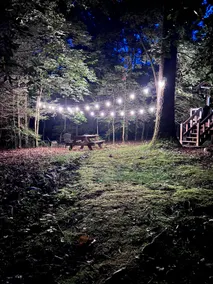 Suches Cabin w/ EV Charger, Fire Pit + Fast WiFi - Image 2