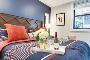 2B/2b New Americana Retreat in the heart of D.C.! - Image 2