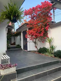 Garden House - Image 4