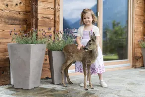 Logenplatz Zillertal Chalet - Image 4