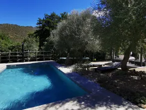F3 Les Oliviers Villa ZenCorse pool 5 km beach - Image 4
