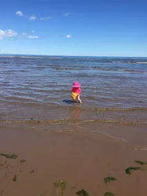 Ocean View Cottage - Near Shediac & Parlee Beach - Image 4