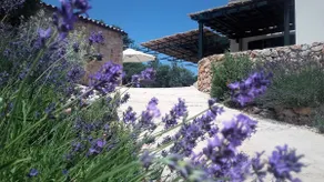 Lavender Hill Hvar Villa - pool, jacuzzi,sauna,BBQ - Image 3