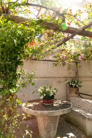 Casa Teresinella Garden - Image 3