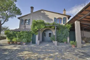 Tuscan Estate - Pool - Olive Grove - 8 ha - Image 3
