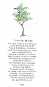 “The Guest House” in beautiful Ocho Rios! - Image 2