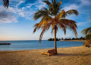 Beachfront 4BR Villa: Chef, Butler, Transfers Incl - Image 5