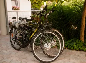 Private Guesthouse Near Lake Balaton - Image 2