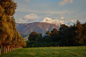 Kaikoura, Cubby House Stay - Image 4
