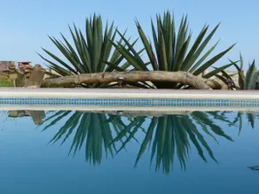 Casa Ñuro Beach Villa on Ñuro Beach, Peru - Image 3