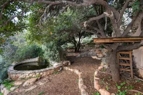 A Rural Experience – Facing the Forest – An Ecological Dipping Pool - Image 5
