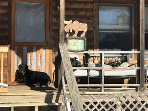 Cozy Log Cabin in the Woods - Image 5