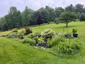 Harriet’s Haven - North of Cooperstown - Image 5