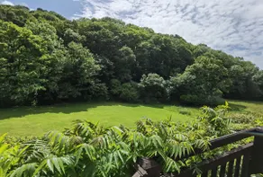 Bantry Cottage at Crackington Haven, near Bude and Boscastle, Cornwall - Image 5
