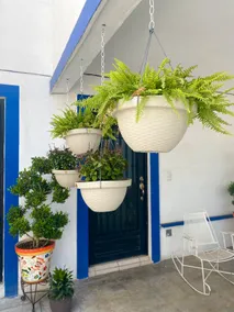 Comfortable and practical, west of Monterrey - Image 3