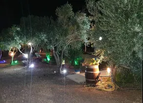 Morad Haharbel - Boutique Resort - Image 5