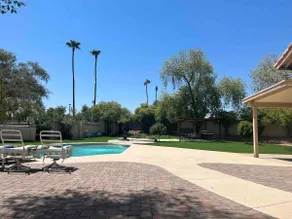 Oasis in the Desert. - Image 5