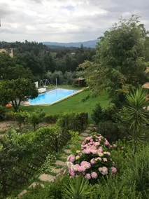 Casa dos Palheiros - Image 3