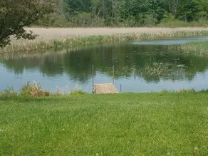 North Sandy Pond Cottage with lot on Skinner Creek - Image 3