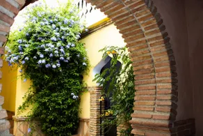 Spanish Arabesque - Image 2